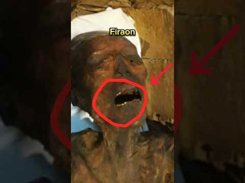 People Who Challenged Allah Shorts Viralvideo Ytshort Islam