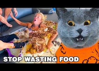  How Can We STOP WASTING FOOD Oscar S Funny World Cute And Funny Cat TikTok
