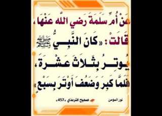 كم ركعة كان يصليها رسول الله صلى الله عليه وسلم في صلاة الوتر
