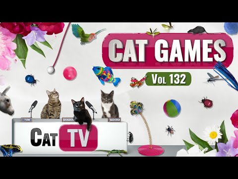 CAT Games Ultimate Cat TV Compilation Vol 132 8 HOURS
