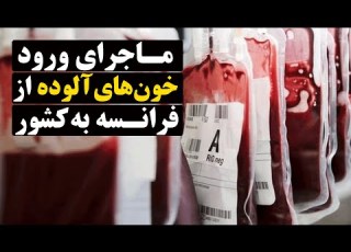 جزئیات جدیدی از ماجرای ورود خون های آلوده از فرانسه به کشور