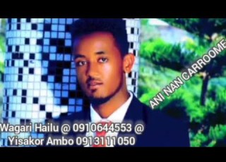 ANI NAN CARROOME F Taa Wagari Hailu