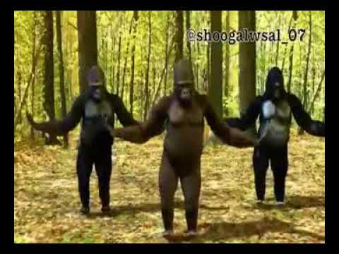 قروده بترقص عل مهرجان توكتوك زعبولا هتمووووت من الضحك ههههههههه