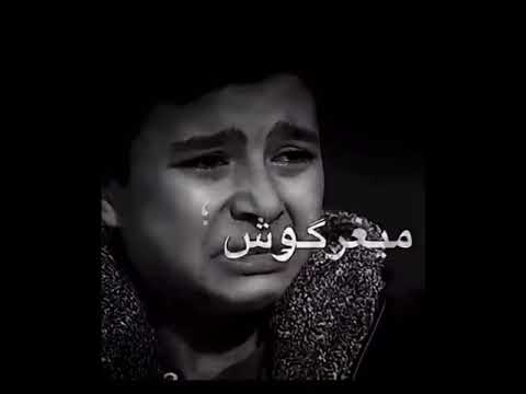 حالات واتس مهرجان انا مش بخير ريشا كوستا و سماره ناو مهرجان ضرب نار 2022 عمرو الليثي حالات واتس مهرجان انا مش بخير ريشا كوستا و سماره ناو مهرجان ضرب نار 2022 عمرو الليثي