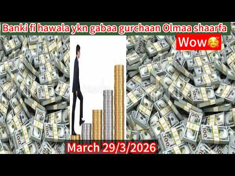 Banki Fi Hawala Ykn Gabaa Guraachaa March 29 3 2026 Olmaa Jijjirraa Mallaqa