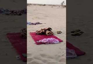 افعى ذات القرون تمر علينا في البر ونحن نيام الصحراء البرية الجزائر الحيونات