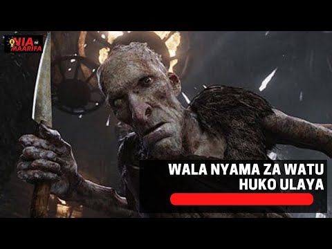 Wafahamu Watu Wa KALE Huko ULAYA Walio Kula NYAMA Ya Binadamu Mifupa Kuitengenezea Mapambo
