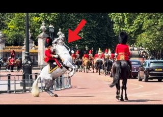 King S Horse Suddenly Reared Up The Officers Horsemanship Professionalism Stunned The Crowd