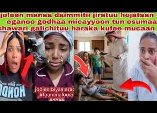 Ijooleen Daimmaa Egadaan Ofi Eganoo Godhaa Micayyoon Tanaa Daimmitii Osumaa Shawari Galichituu