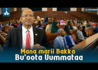 Mana Marii Bakka Bu Oota Uummataa Etv Ebc Etv Afaan Oromoo