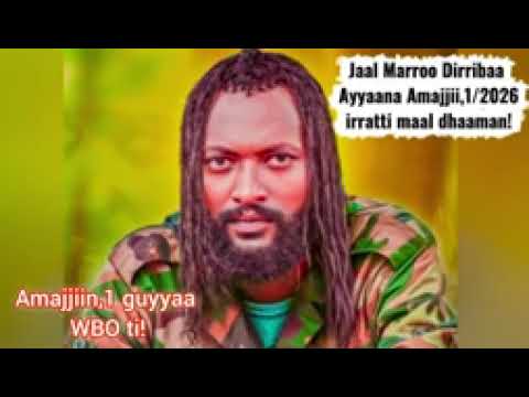Dhaamsa Ajajaa Olaanaa ABO WBO Amajjii 1 2026 Guyyaa WBO Ilaalchisee Dhaaman Jaal Marroo Dirribaa