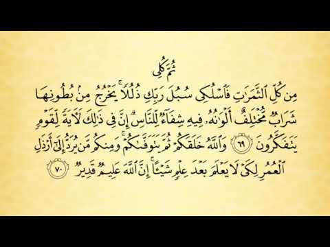 تفسير سورة النحل من الآية 65 إلى 72 بصوت خادمة كتاب الله الأستاذة أماني أبو المعاطي حفظها الله تفسير سورة النحل من الآية 65 إلى 72 بصوت خادمة كتاب الله الأستاذة أماني أبو المعاطي حفظها الله
