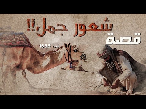 1635 قصة شعور جمل