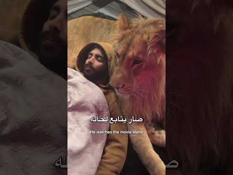 نظرة الغدر بالاخير