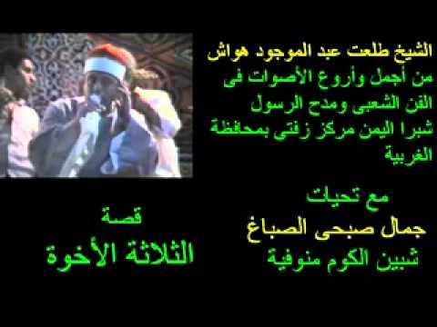 الشيخ طلعت هواش قصة الثلاثة الاخوة