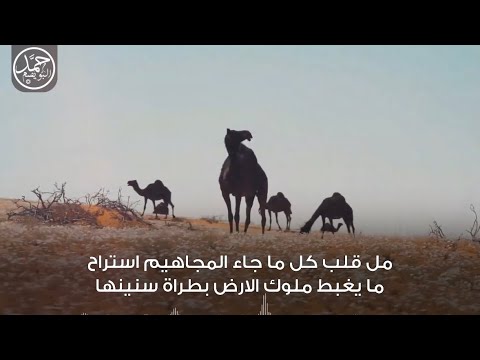 المجاهيم كلمات عبدالهادي بن قنيفذ أداء ناصر الطويل