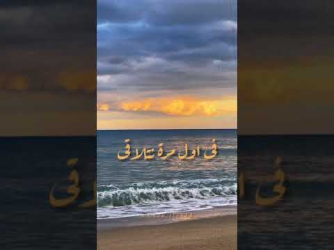 رسمتلي صورة للجنة عمرو دياب حالات واتس رسمتلي صورة للجنة عمرو دياب حالات واتس