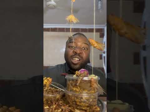 يا جرادة يا جرادة Dance Music عائلة موكاممادو