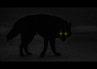 OGRYZEK GLORY Super Slowed