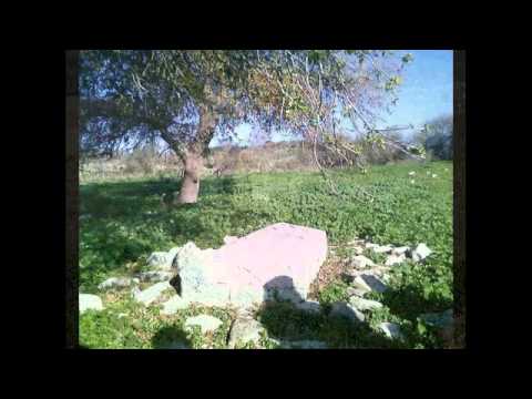 ميس شلش وأغنية فارس عودة