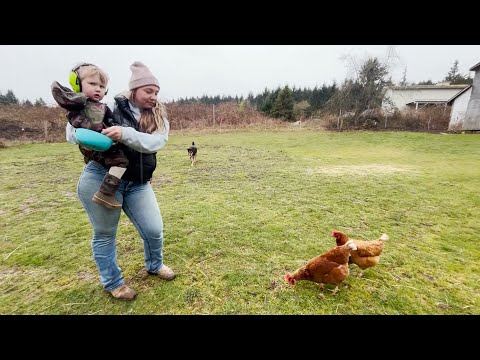 It S Scary Cowichan Farmers Outraged By Planned Zoning Changes To Limit Farms