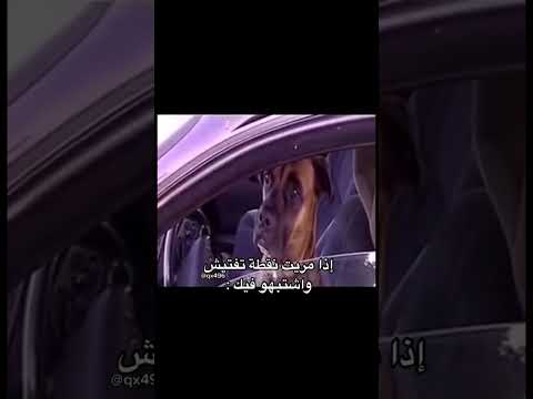 اذا مريت نقطة تفتيش واشتبهو فيك