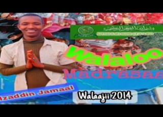  Walaloo Afaan Oromoo Madrasaa Short Pretty Poetry Madrasa