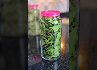مقارنة رهيبة بين ورق الغار الجاهز وورق الغار اللي نشفته بالبيت بالمايكروويف شوفوا الفرق