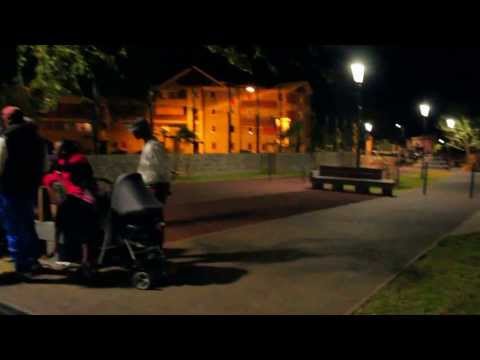 Teaser Petit Lion Faute Grave 2013