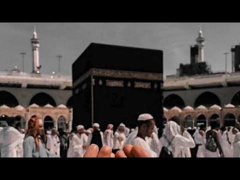 لبيك اللهم لبيك منصور السالمي