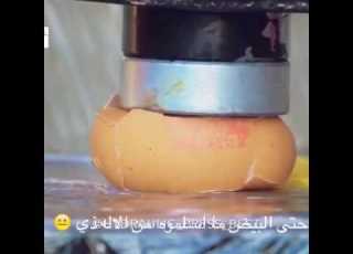  ودي اجرب
