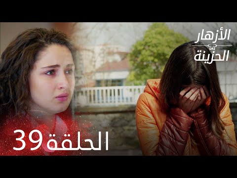 الأزهار الحزينة الحلقة 39 كاملة Kırgın Çiçekler