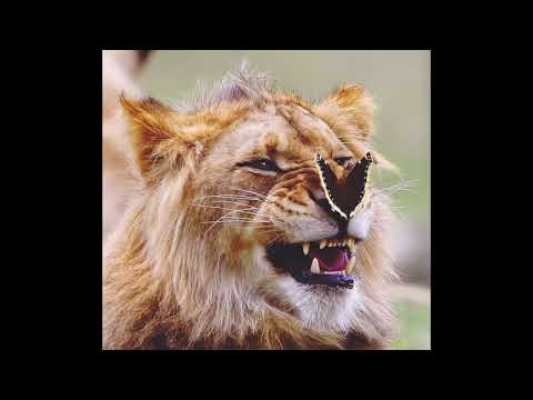 Lucky Twice Lucky Ultra Slowed