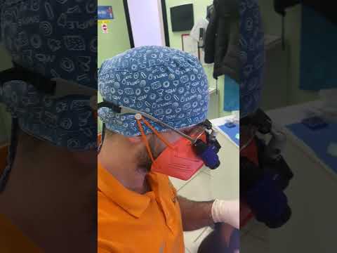 𝗟 𝗔𝗦𝗦𝗜𝗦𝗧𝗘𝗡𝗧𝗘 𝗗𝗜 𝗦𝗧𝗨𝗗𝗜𝗢 𝗢𝗗𝗢𝗡𝗧𝗢𝗜𝗔𝗧𝗥𝗜𝗖𝗢 Shorts