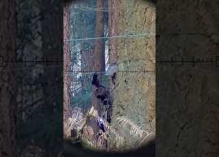  Sniper Takedowns Airsoft Stealth Highlights Airsoftsniper