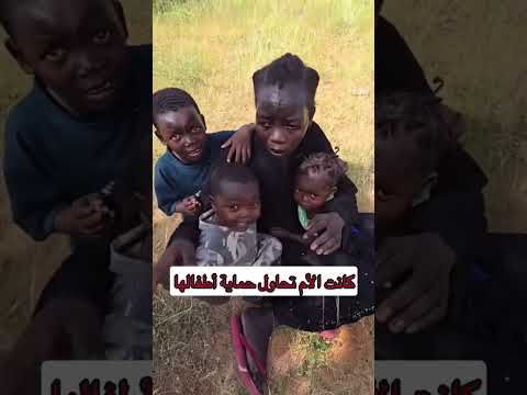 اطلاق النار على ام سودانية وهية تحضن أطفالها حسب الله ونعم الوكيل السودان اطلاق النار على ام سودانية وهية تحضن أطفالها حسب الله ونعم الوكيل السودان