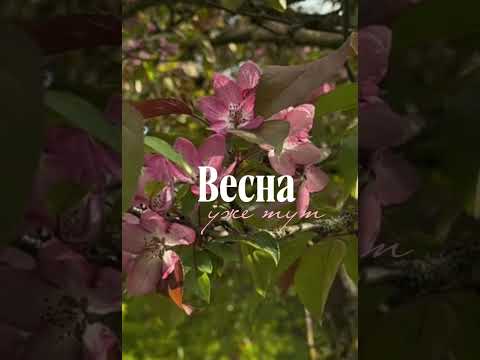 Весна в каждом кадре Время обновлений