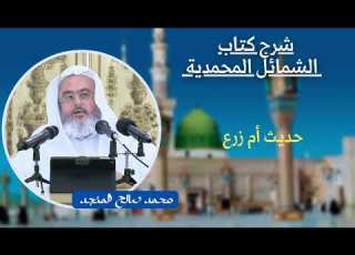  حديث أم زرع شرح كتاب الشمائل المحمدية محمد صالح المنجد
