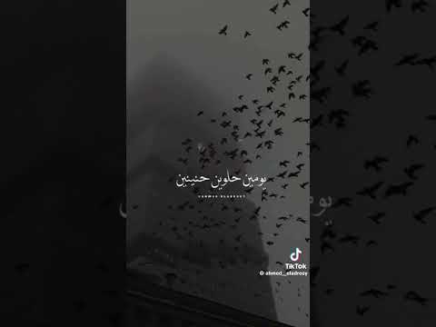 حالات واتس اب شيرين ومين اختار يعيش حياته ومين اختار يحب مين