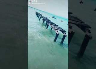 مع السلامة للى عايز يمشى