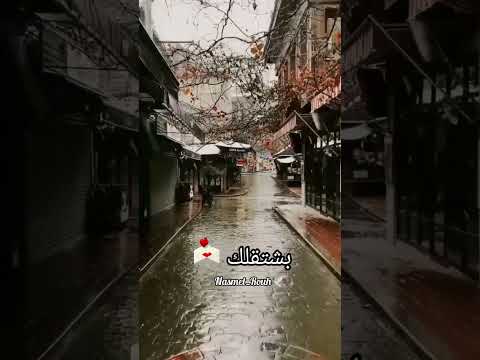 بشتقلك Shorts فيروز