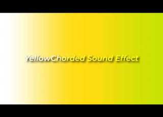  RQ YellowChorded Sound Effect For 1 Minute
