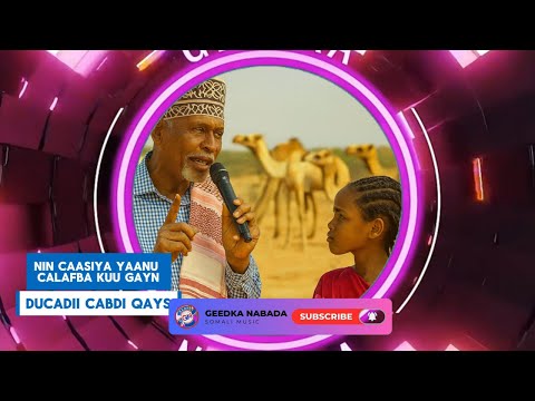 HEES NIN CAASIYA YAANU CALAFBA KUU GAYN DUCADII CABDI QAYS LYRICS COVER SONG