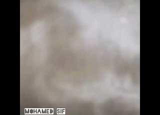 قصة أصحاب الفيل مصورة