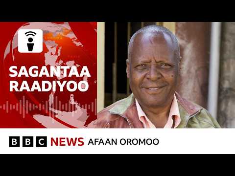 Pirofeesar Mararaa Guddinaa Waa Ee Filannoo Itoophiyaa Maaliif Callisan