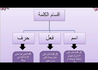 اقسام الكلمة القسم الرابع ابتدائي