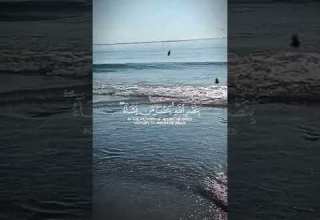 انتصرنا بفضل من الله وروحنا على البحر وعلى قبال فلسطين فولو امين