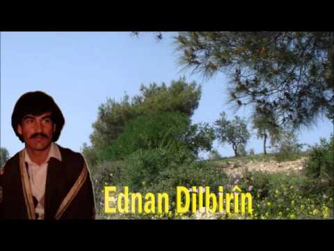 عدنان دلبرين حفلة المزرعة موال كوردي حزين KurdNetwork Com