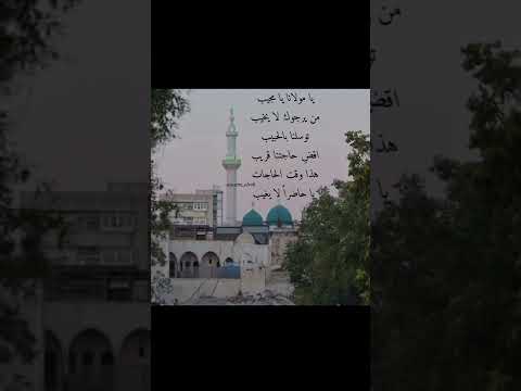 يا مولانا يا مجيب من يرجوك لا يخيب محمديات صلى الله على سيدنا محمدﷺ نسائم الروح