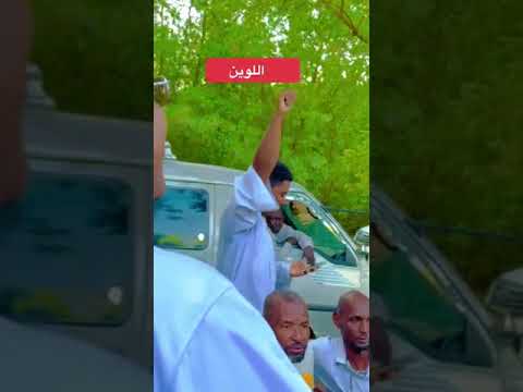 لحظات من الجنون وليد ادريس استمتع مع اغنية اللوين